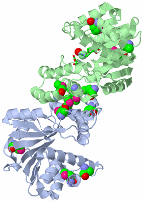 Image Asym./Biol. Unit - sites