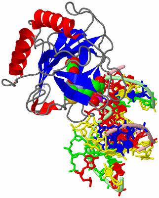 Image Asym./Biol. Unit