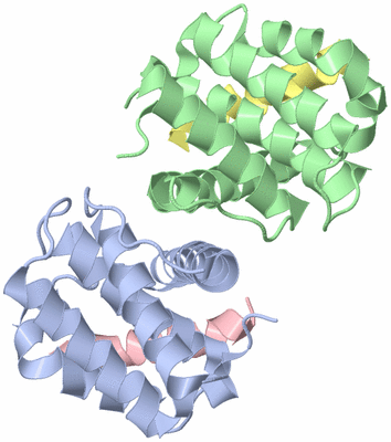 Image Biological Unit 3