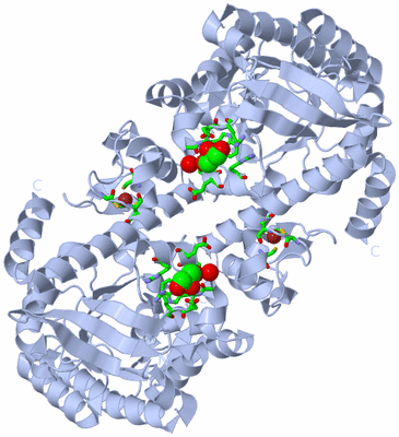 Image Biol. Unit 1 - sites