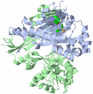 Image Asym./Biol. Unit