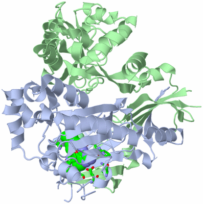 Image Asym./Biol. Unit - sites