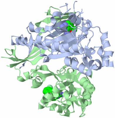 Image Asym./Biol. Unit