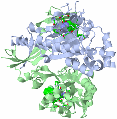 Image Asym./Biol. Unit - sites