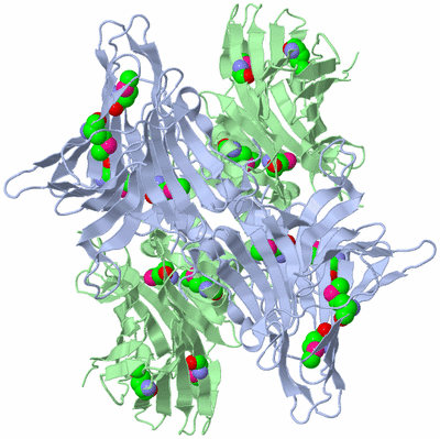 Image Biological Unit 3