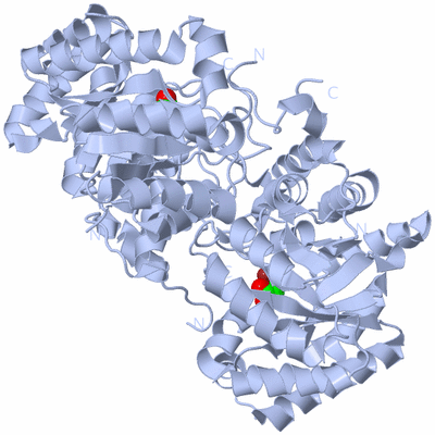 Image Biological Unit 1