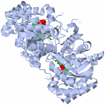 Image Biol. Unit 1 - sites