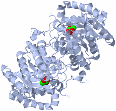 Image Biological Unit 1