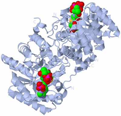 Image Biological Unit 1