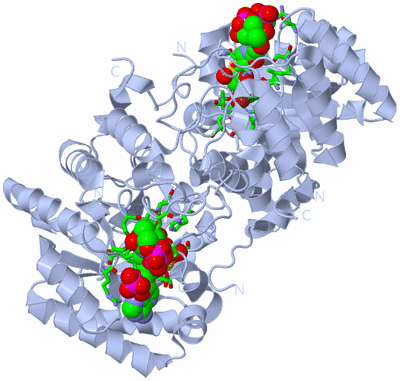 Image Biol. Unit 1 - sites