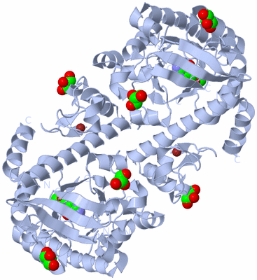 Image Biological Unit 1