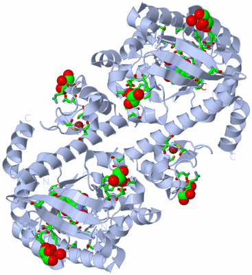 Image Biol. Unit 1 - sites