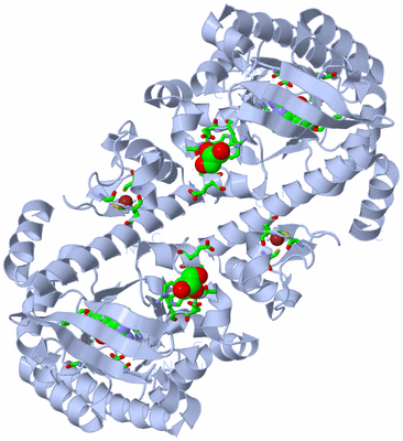 Image Biol. Unit 1 - sites