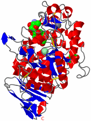 Image Asym./Biol. Unit