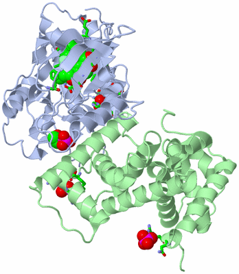 Image Asym./Biol. Unit - sites