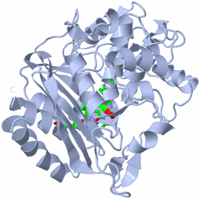 Image Biol. Unit 1 - sites