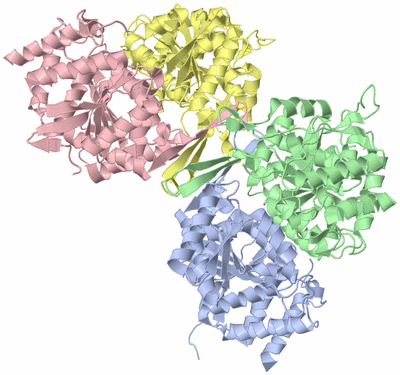 Image Biological Unit 3