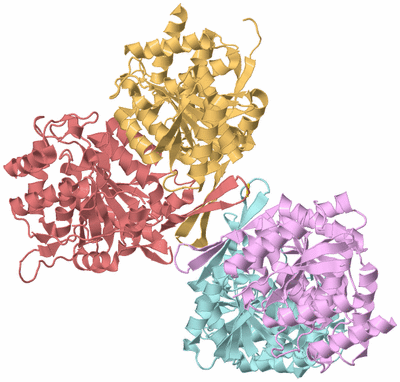 Image Biological Unit 4