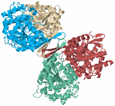 Image Biological Unit 5