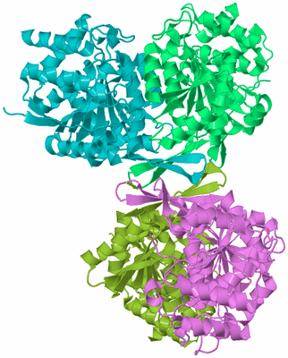 Image Biological Unit 6