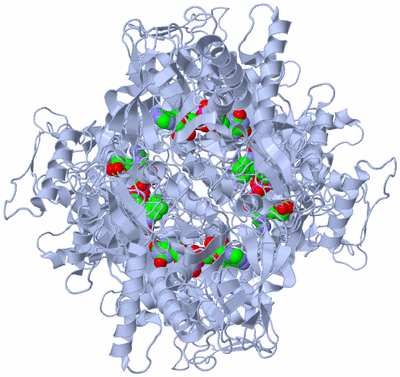 Image Biological Unit 1