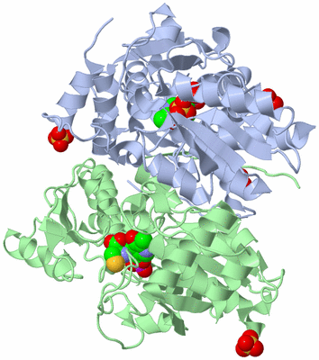 Image Asym./Biol. Unit