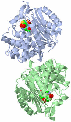 Image Asym./Biol. Unit