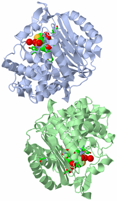 Image Asym./Biol. Unit - sites