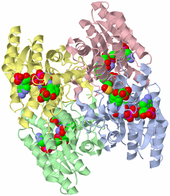 Image Asym./Biol. Unit