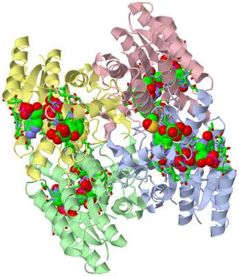 Image Asym./Biol. Unit - sites