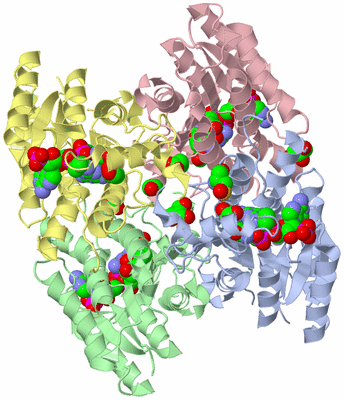 Image Asym./Biol. Unit