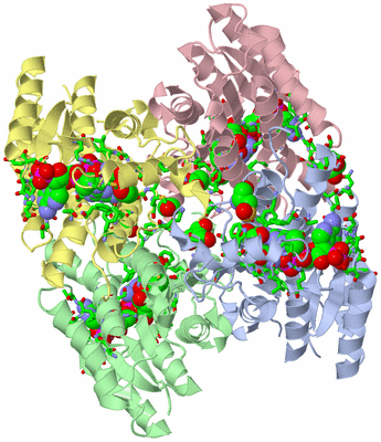 Image Asym./Biol. Unit - sites