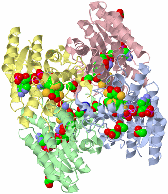 Image Asym./Biol. Unit