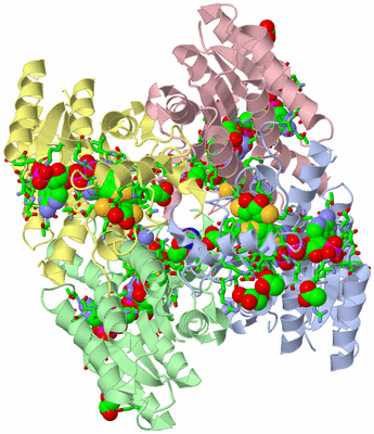 Image Asym./Biol. Unit - sites