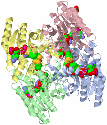 Image Asym./Biol. Unit