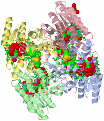 Image Asym./Biol. Unit - sites