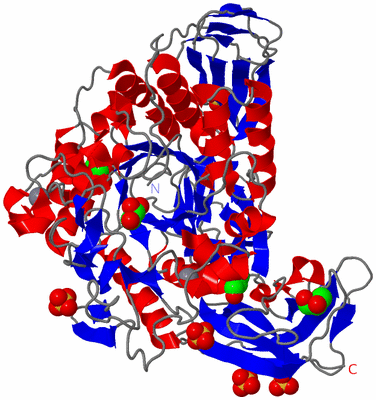 Image Asym./Biol. Unit