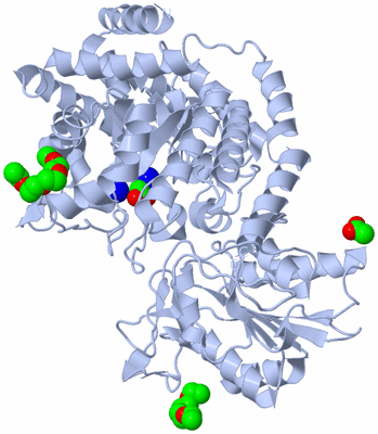 Image Biological Unit 1