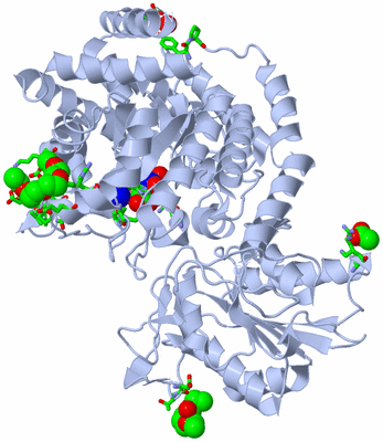 Image Biol. Unit 1 - sites