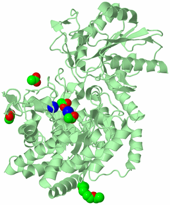 Image Biological Unit 2