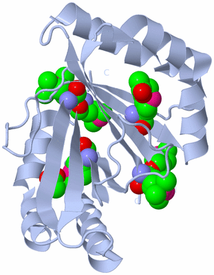 Image Biological Unit 1