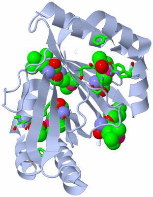 Image Biol. Unit 1 - sites