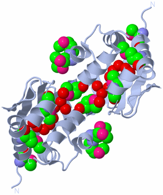 Image Biological Unit 1