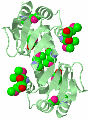 Image Biological Unit 2