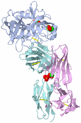 Image Biological Unit 2