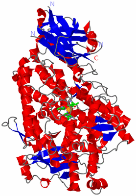 Image Asym./Biol. Unit - sites