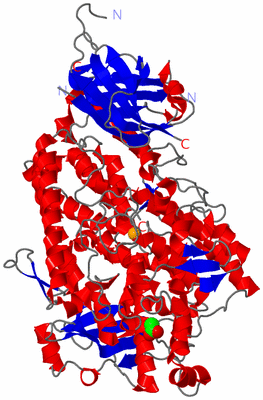 Image Asym./Biol. Unit