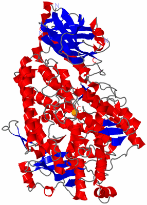 Image Asym./Biol. Unit