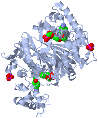 Image Biological Unit 1