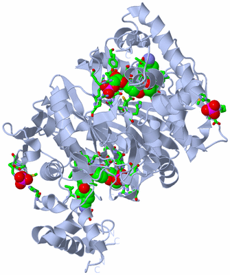 Image Biol. Unit 1 - sites